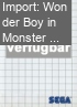 Wonder Boy in Monster Land